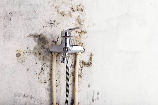 Mold Testing and Removal in Grand Island, NE