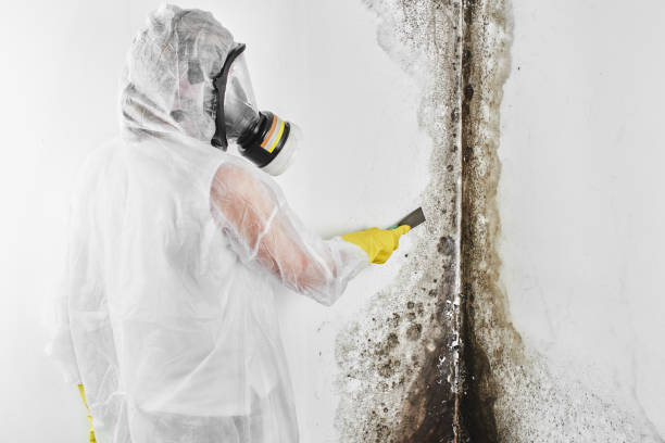 Crawl Space Mold Removal in Grand Island, NE
