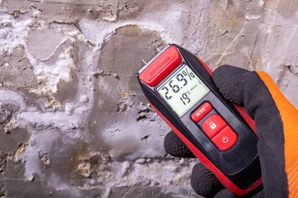 Best Mold Cleaning Services  in Grand Island, NE