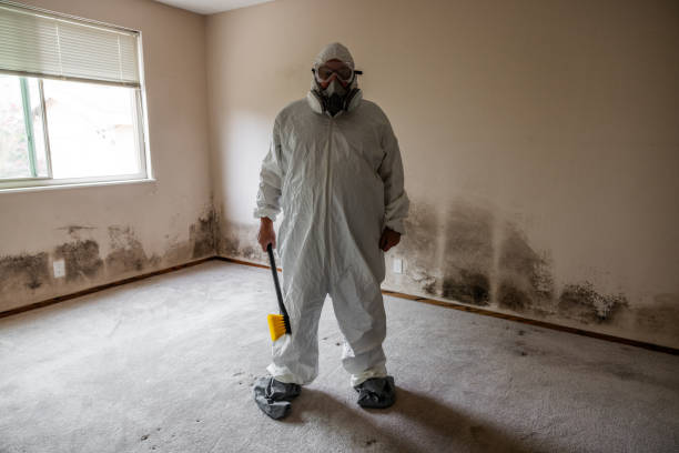 Home Mold Removal in Grand Island, NE